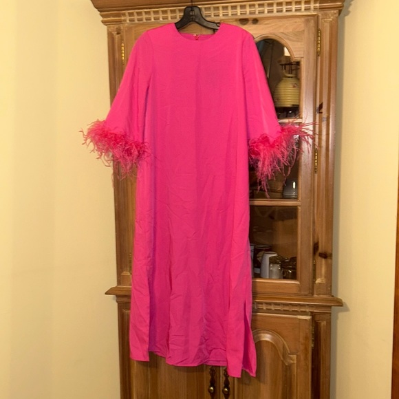 Hot Pink Feather Jamie Dress
TUCKERNUCK - Picture 6 of 6